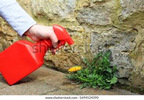 Weed Killer: Over 3 382 Royalty-Free Licensable Stock Photos | Shutterstock