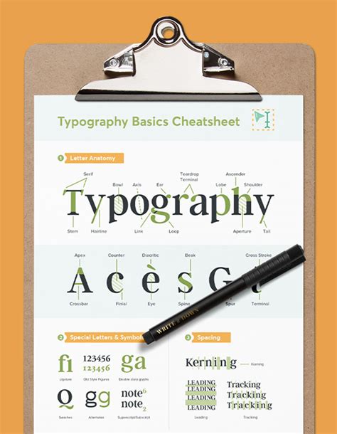 Free Typography Basics Cheatsheet: Anatomy, Classification & Special Terms - Creative Market Blog