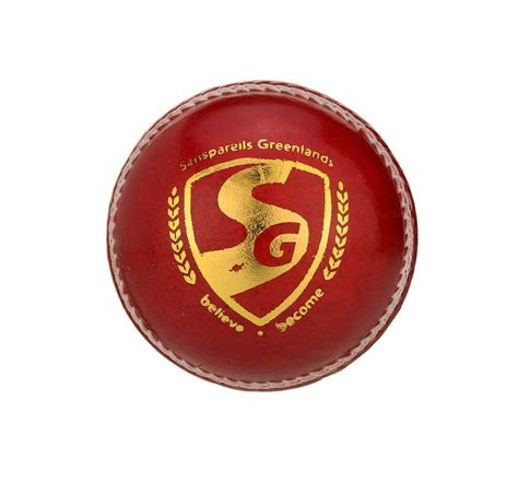 SG Seamer Leather Ball | Cricket Store