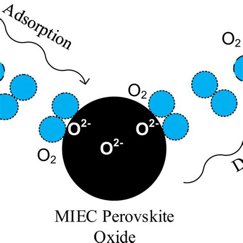 Illustration of oxygen dissociation/association in oxygen... | Download ...