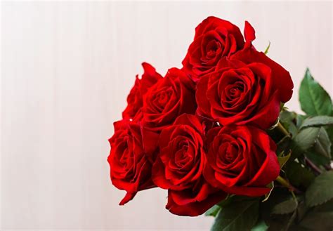 Ramo de rosas rojas para san valentín | Foto Gratis