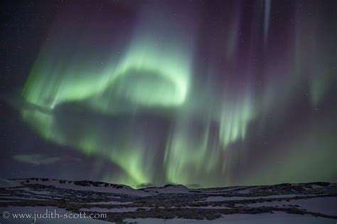 Northern lights aurora borealis Holmavik, Westfjords, Iceland - lakitours.com