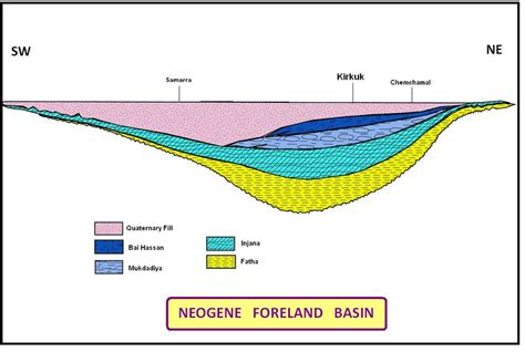 Schematic stratigraphic cross -section of the late foreland basin. | Download Scientific Diagram