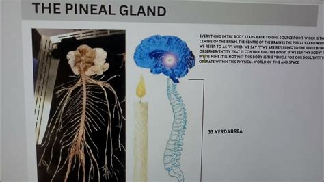 Esoteric Teaching , Part 1 | Peniel, Pineal Gland Symbolism | #bookofwisdom - YouTube