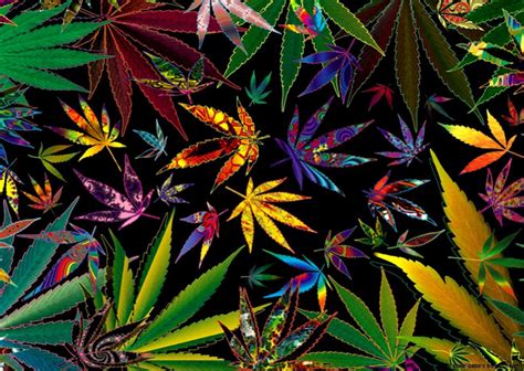 Stoner iPhone Wallpapers - Top Free Stoner iPhone Backgrounds - WallpaperAccess