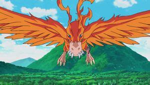 Birdramon - Wikimon - The #1 Digimon wiki