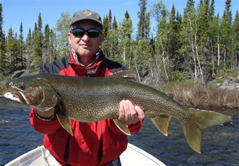 Fly Fishing Lake Trout - Go Fishing Canada