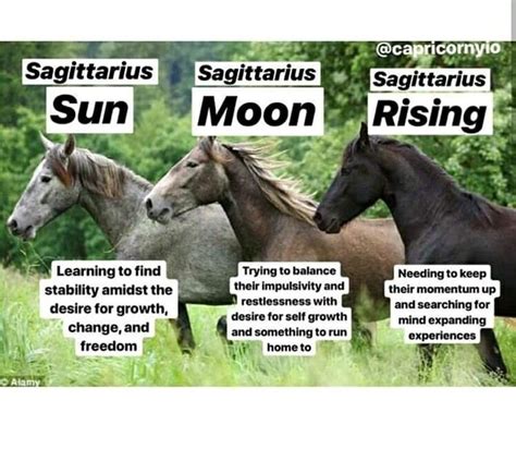 Moon Rise, Sun Moon, Mind Expanding, Monthly Horoscope, Astrology Chart, Sagittarius, Humor ...