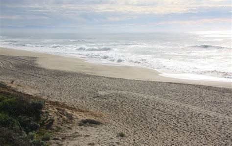 Manresa State Beach, Watsonville, CA - California Beaches