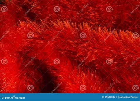 Red fur texture background stock photo. Image of clothes - 89618842