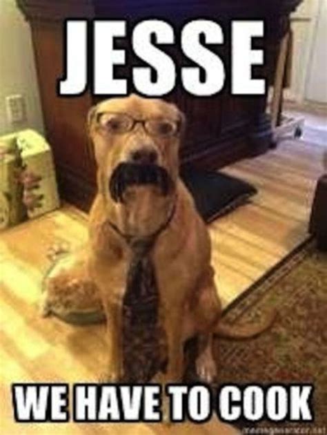 Walter White... | Funny dog memes, Funny animals, Funny pictures