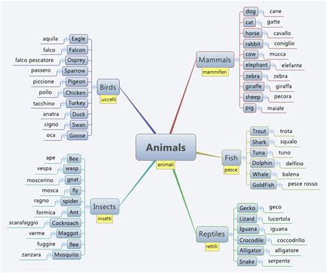 Animals - XMind - Mind Mapping Software