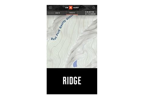 Political Map Of Ridge - Bank2home.com