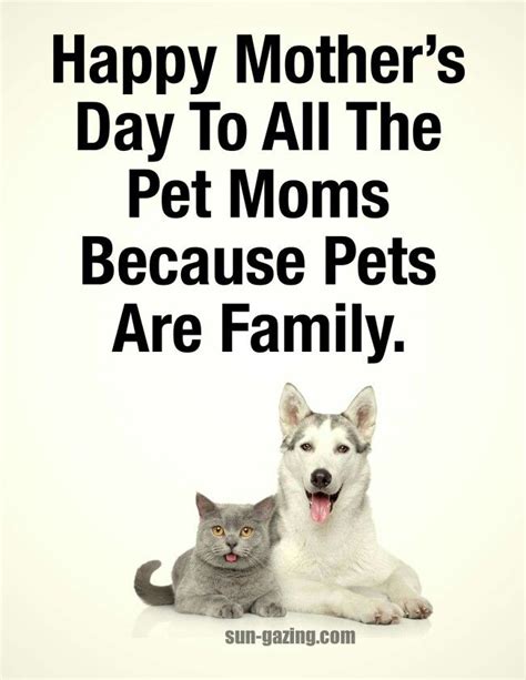 Happy Mother's Day.....to all pet owners! | Pet mom, Dog quotes, Happy mothers