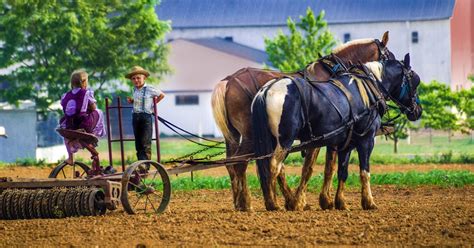 Middlefield | Ohio's Amish Country