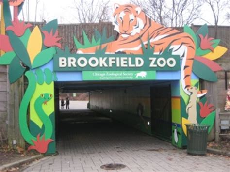 Brookfield Zoo's Schedules August-December Events | Western Springs, IL Patch