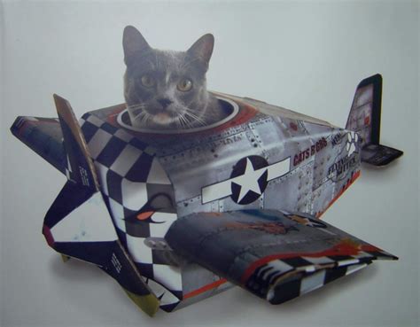 CAT PLAYHOUSE-Kitty Fighter Jet Plane-Cardboard House - Toys