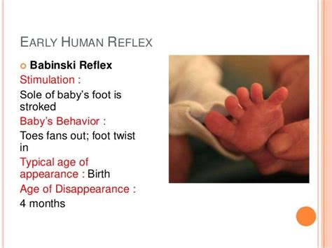 Babinski Reflex | Nursing school studying, Nursing education, Nursing ...