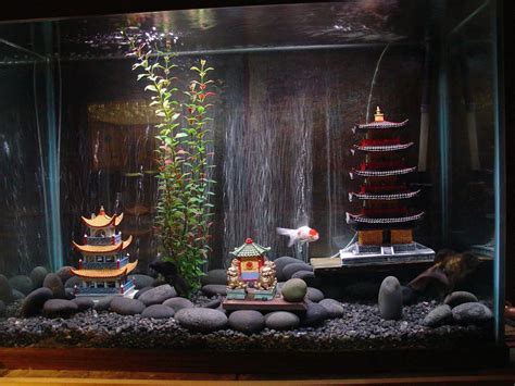 Goldfish Tank | Fish aquarium decorations, Goldfish aquarium, Fish tank ...