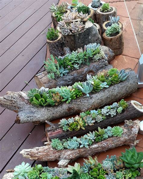 31 Beautiful Outdoor Succulent Planter Ideas - MAGZHOUSE