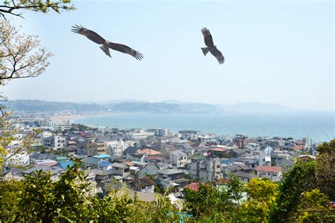 Kamakura: A Guide To The Closest Ancient Capital To Tokyo - Savvy Tokyo