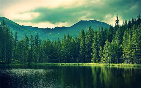 landscape, Trees, Hill, Water, Pond Wallpapers HD / Desktop and Mobile Backgrounds