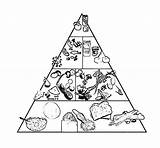 Food Pyramid Drawing At GetDrawings  Free Download sketch template