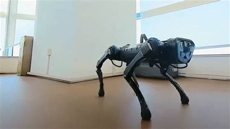 New AI approach yields athletically intelligent robotic dog