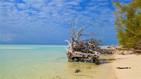 The Best Hotels Closest to Gold Rock Beach in East Grand Bahama for ...