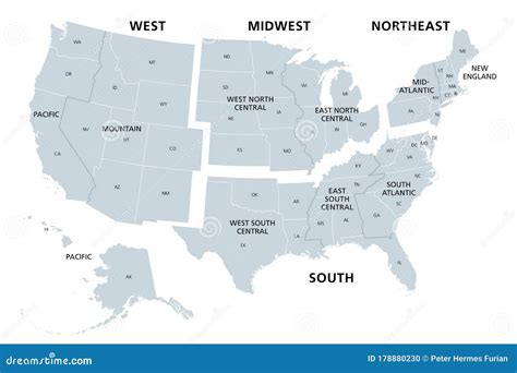 United States Divided in Census Regions and Divisions, Gray Map Stock ...