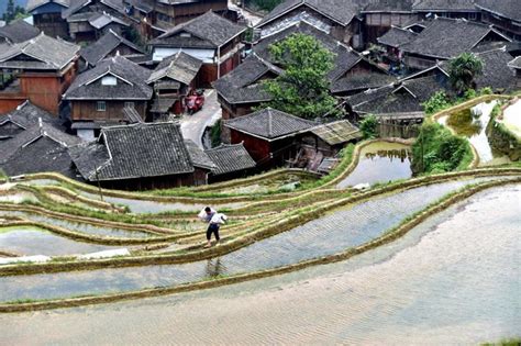 My Gentle Grandmother and the Sacrifices of the Chinese Countryside - Caixin Global