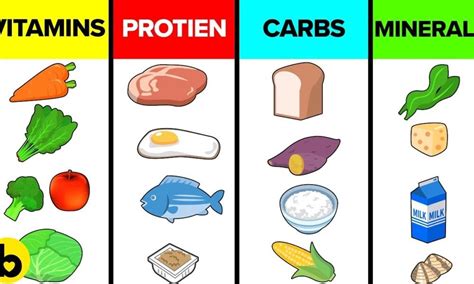 🥑How The Six Basic Nutrients Affect Your Body🍍 - Fitness Fervor