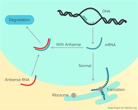 Low density lipoprotein future or investigational therapies - wikidoc