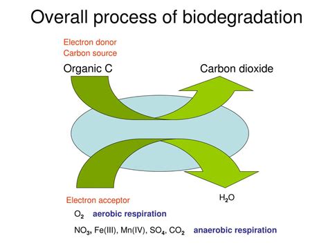 PPT - Microorganisms and Organic Pollutants PowerPoint Presentation - ID:202509