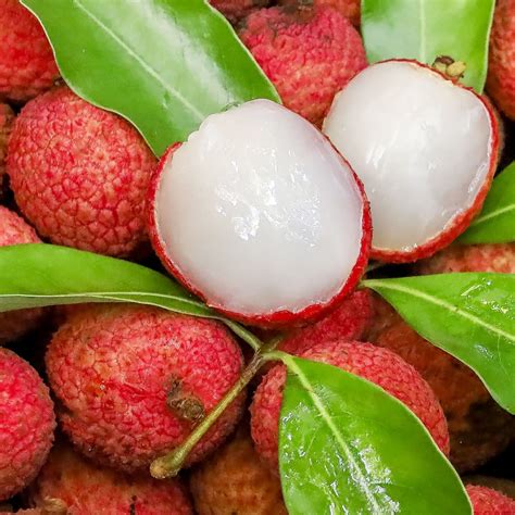 Rambutan vs. Lychee (What's the Difference?) - Insanely Good