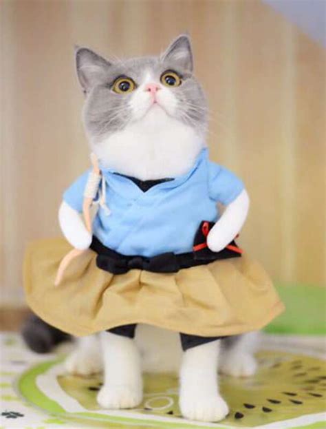 6 most funny clothes for your pets! - Nicepetproducts