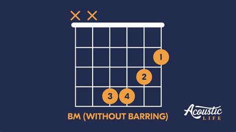 Bm Chord for Beginners [Exercises and EASIER Versions] - Acoustic Life