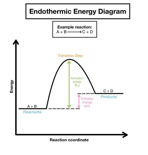 draw an energy diagram for an endothermic and exothermic reaction and ...