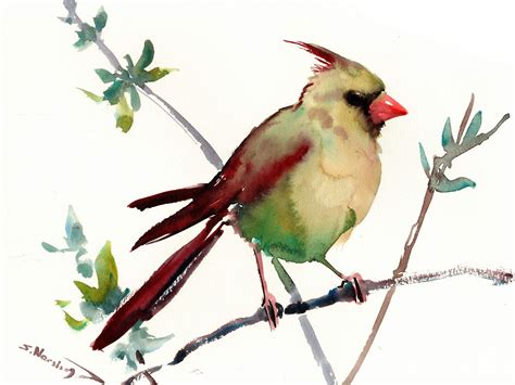 Cardinal Bird, Original watercolor Painting Watercolor Bird, Original Watercolor Painting ...