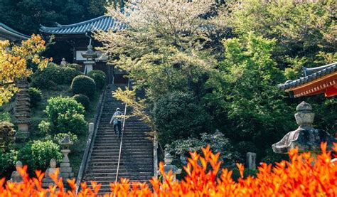 Shikoku Pilgrimage: A Guide to the Sacred 88-Temple Route | Japan Cheapo