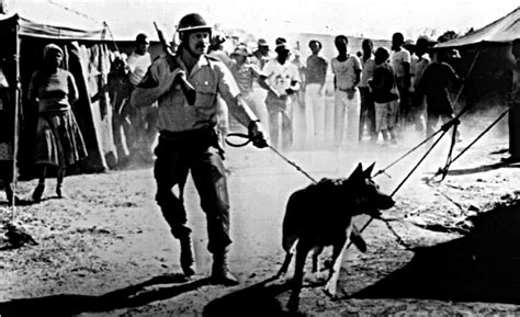 Remembering South African Apartheid | Multimedia | teleSUR English