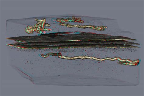 Controversial fossils suggest life began to move 2.1 billion years ago ...