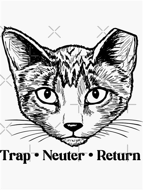 "TNR Trap Neuter Return Feral Cats Rescue" Sticker for Sale by auntfluffy | Redbubble