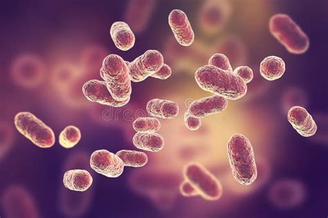 Porphyromonas Gingivalis Bacteria Stock Illustration - Illustration of pathogenic, esophageal ...