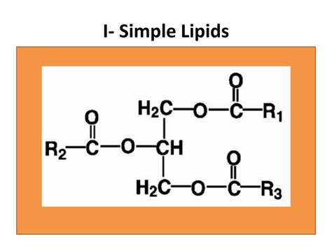 PPT - LIPID CHEMISTRY PowerPoint Presentation, free download - ID:6163071