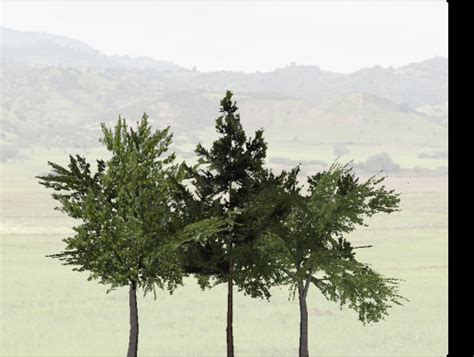 Mobile Tree Package | 3D Trees | Unity Asset Store