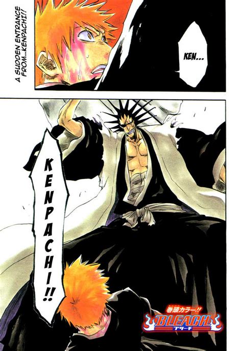 Bleach - Shōnen Manga Photo (29838405) - Fanpop