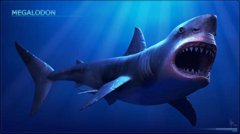 Megalodon: Biggest Shark Documentary | Shark Games