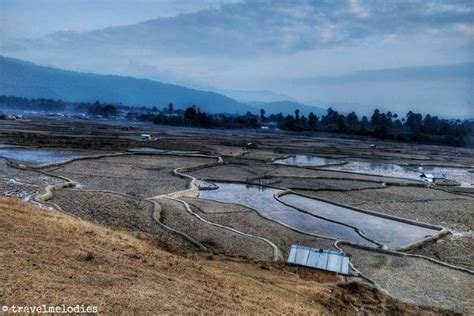 Ziro Valley Arunachal Pradesh - Home Of Apatani Tribe - Inditales