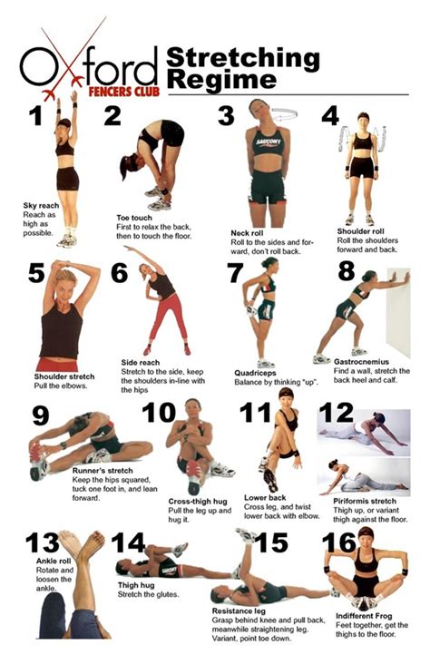 40 Charts of Post Workout Stretches to Prevent Injuries - Bored Art